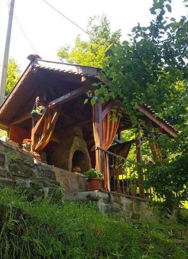 Вила Керенски Ribarica Luaran gambar